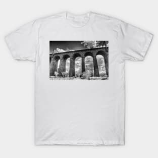 Digswell Viaduct T-Shirt